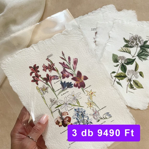 Merített papír botanikai print